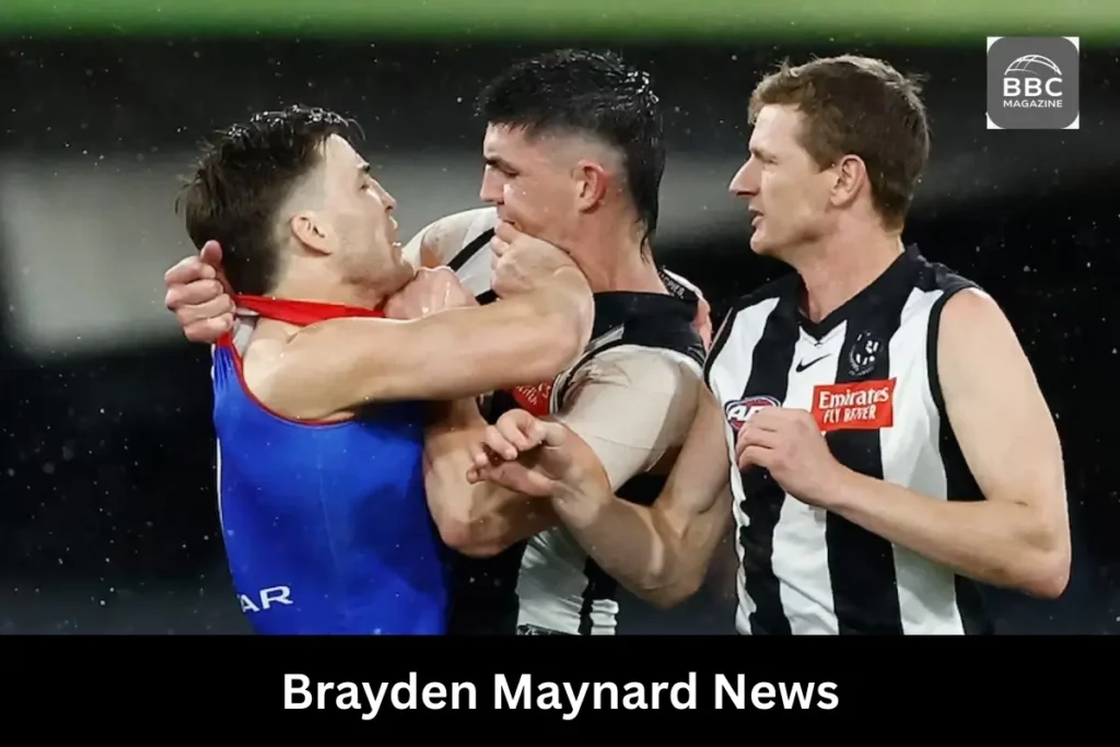 Brayden Maynard News