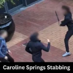 Andrew Clennell: A Leading Voice in Australian Politics